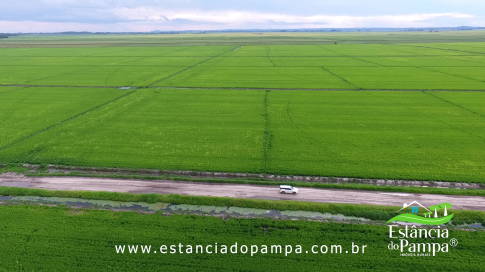 DOS EÓLICOS VIRA P FAZENDA_Moment.00_02_16_20.Quadro059_29ffc7c7acdc3099319c4e39029b97fcd2b635d5.png